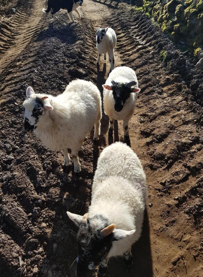 Anascaul Shadow River Farm المظهر الخارجي الصورة